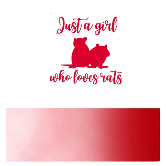 Just A Girl Who Loves Rats- Funny Rats Vinyl Decals Car, Laptop, Windows - Picture 11 of 14